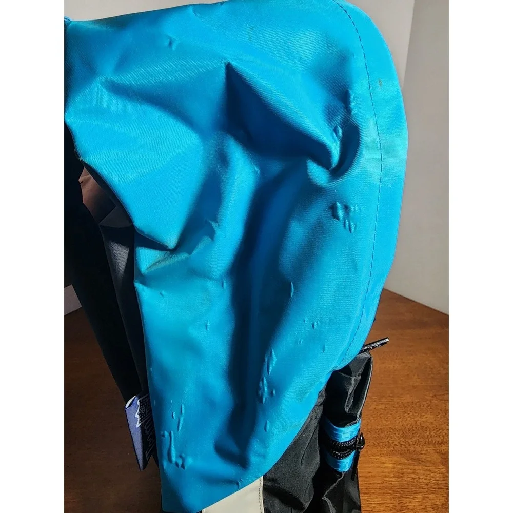 Vintage 1995-2011 Panthers Backpack | Carolina Panthers Laptop‎ Backpack- Black